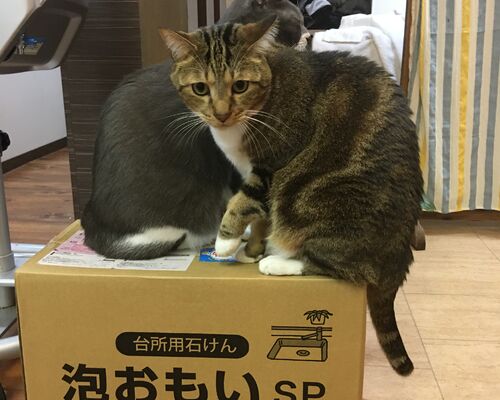 ACCF41EF-DE48-4884-A214-7712BA33845E