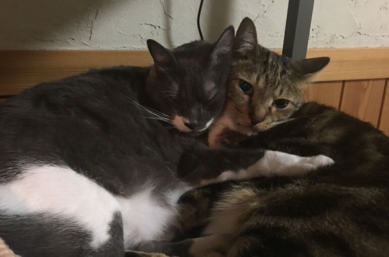 A60F59D4-F869-4511-899A-B2D201B9C5B9