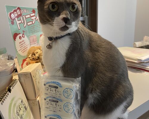 DA27865B-F0A9-46F2-B17B-B923EC098768